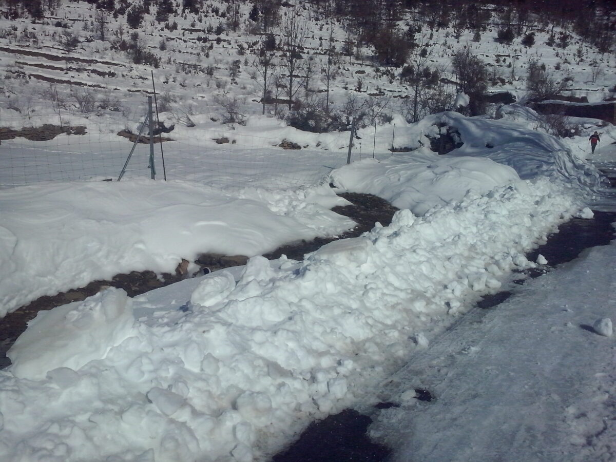 Nieve Barbenuta