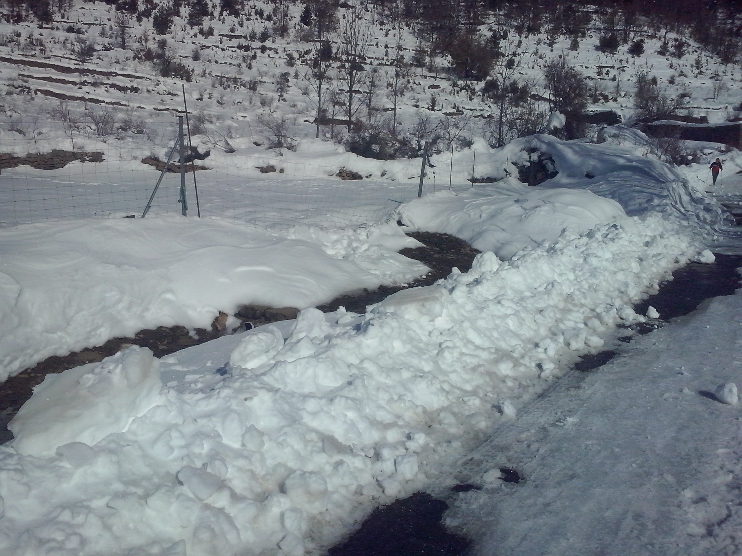 Nieve Barbenuta
