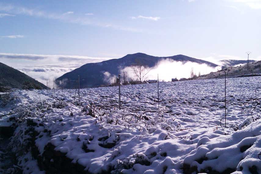 bodegas_bal_minuta_el_vino_del_pirineo_2018